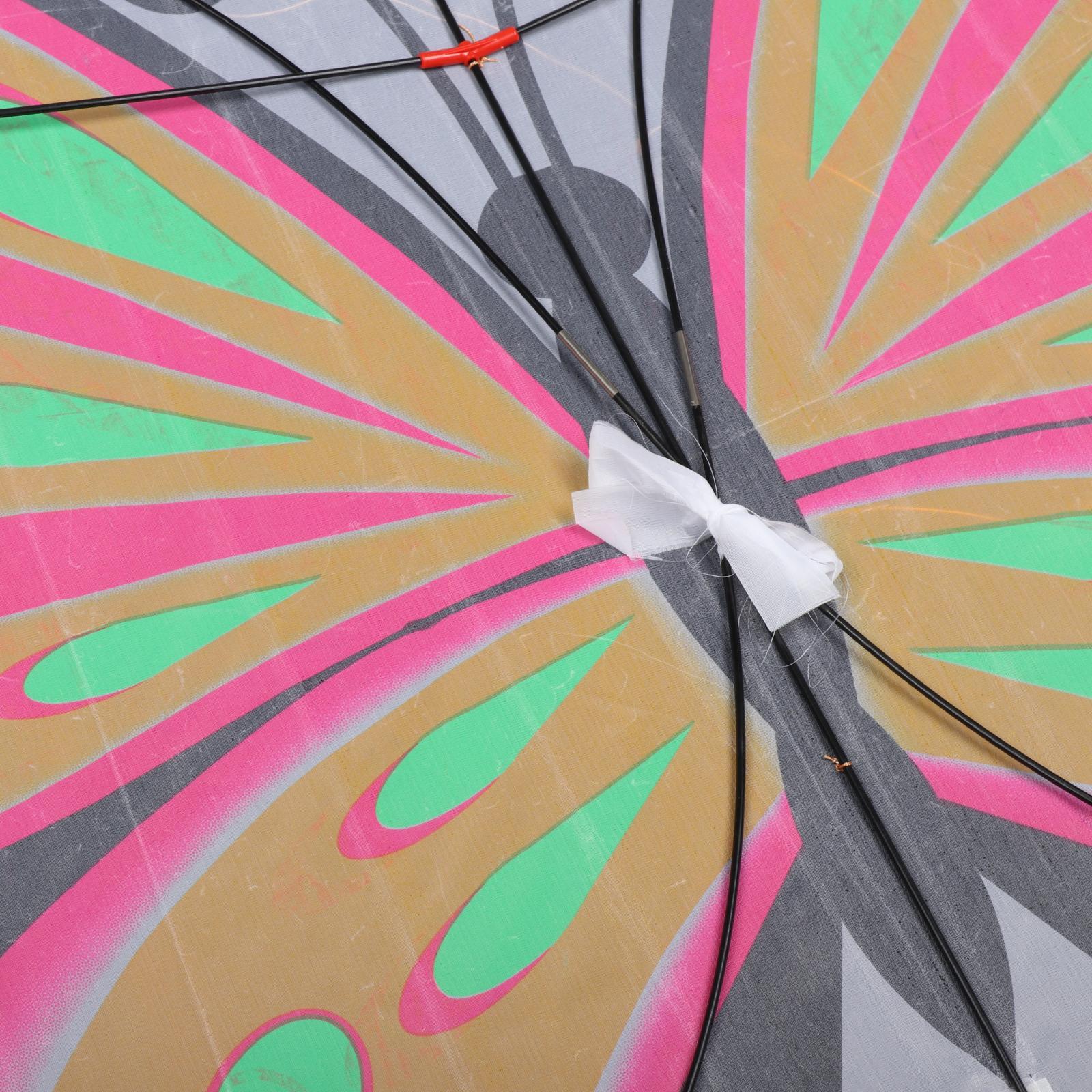 Beautiful Butterfly Kite Outdo - Outdoor Sport Activities For Kids のレビューと価格