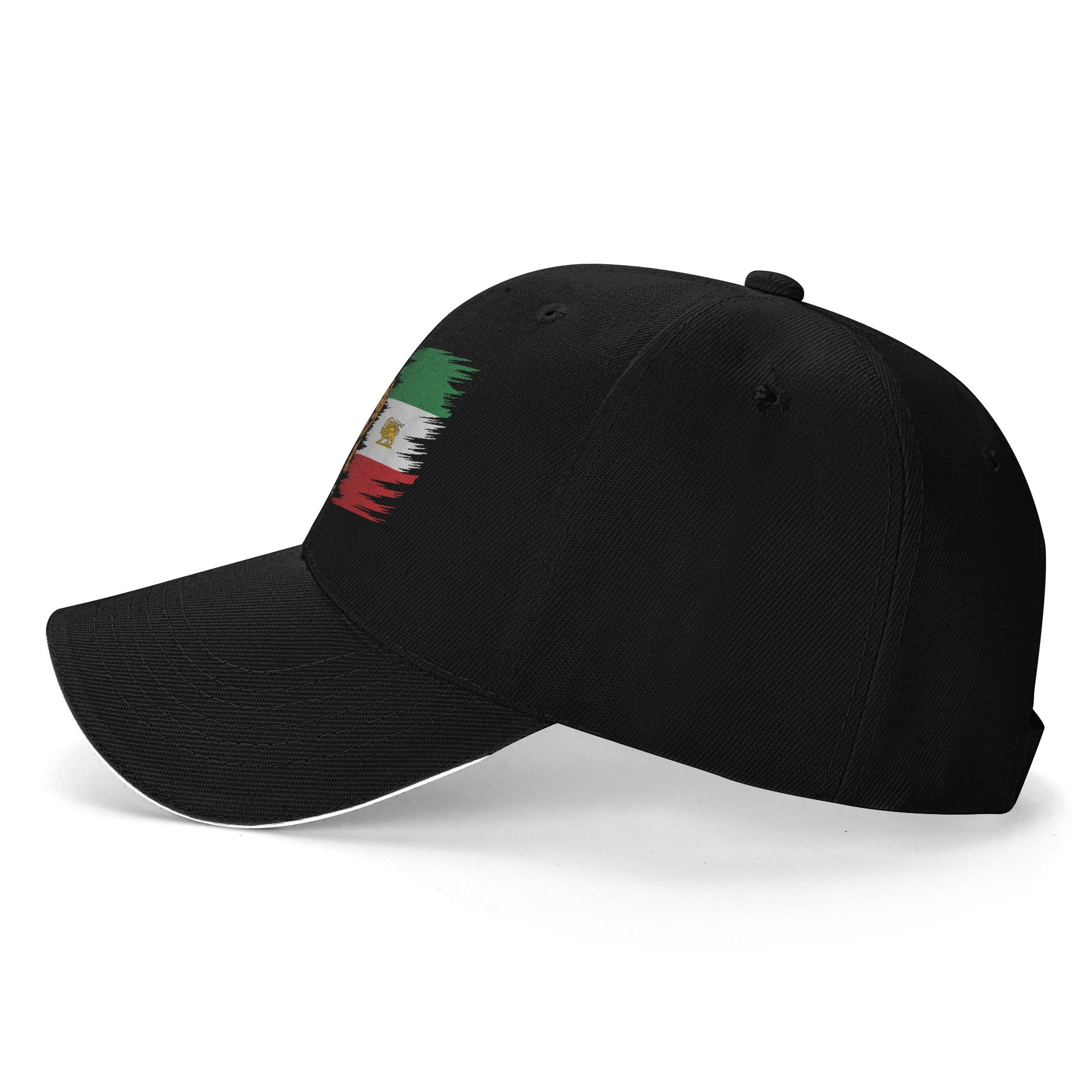USA Iran Flag with Lion Emblem - Outdoor Sport Usa のレビューと価格